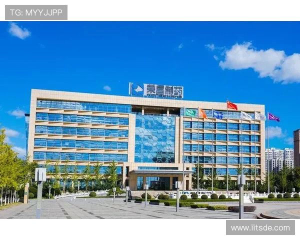 最新K8凯发官网入口地址大全，提供多渠道登录方式满足不同玩家需求